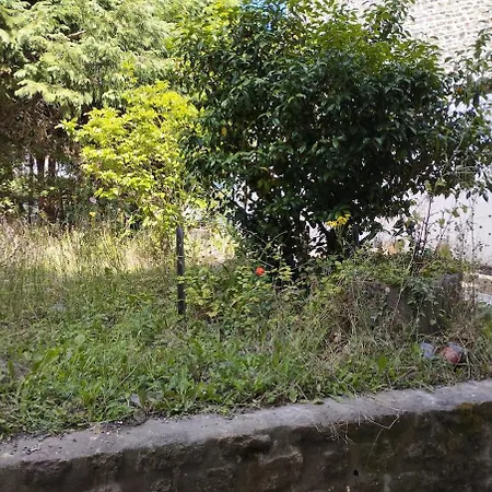 My Zen House 플레르
